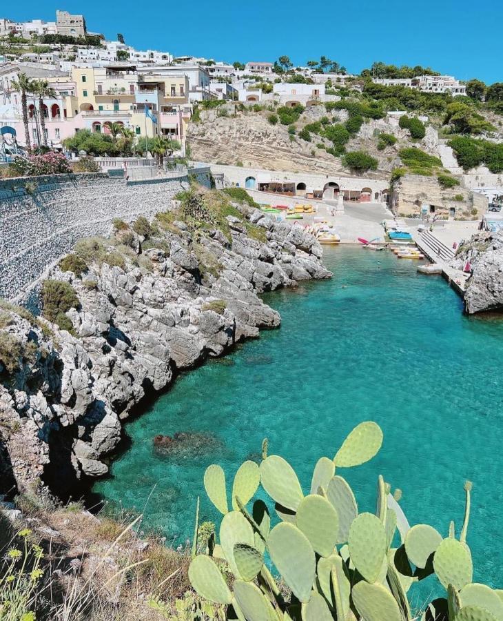 Villaelena Holiday home